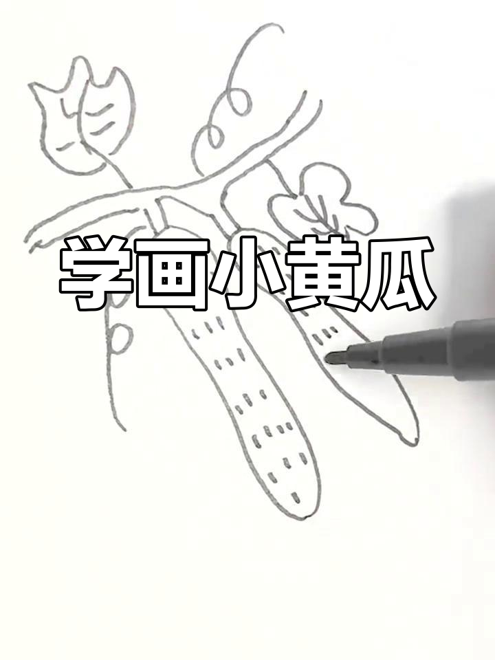 黄瓜简笔画教程,轻松学会
