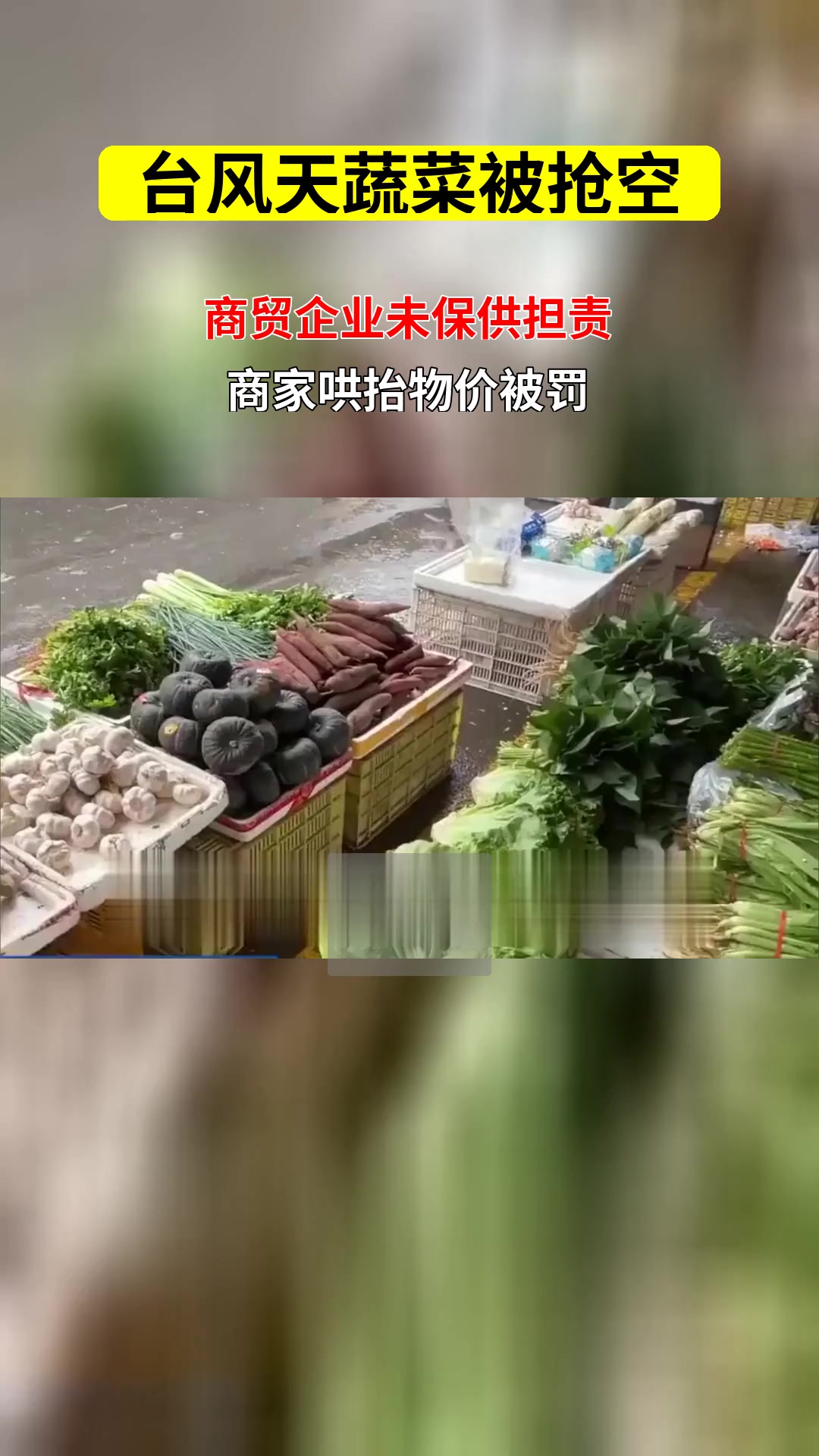 广州深圳回应台风前蔬菜被抢空 商贸企业未保障物资供应需担何责