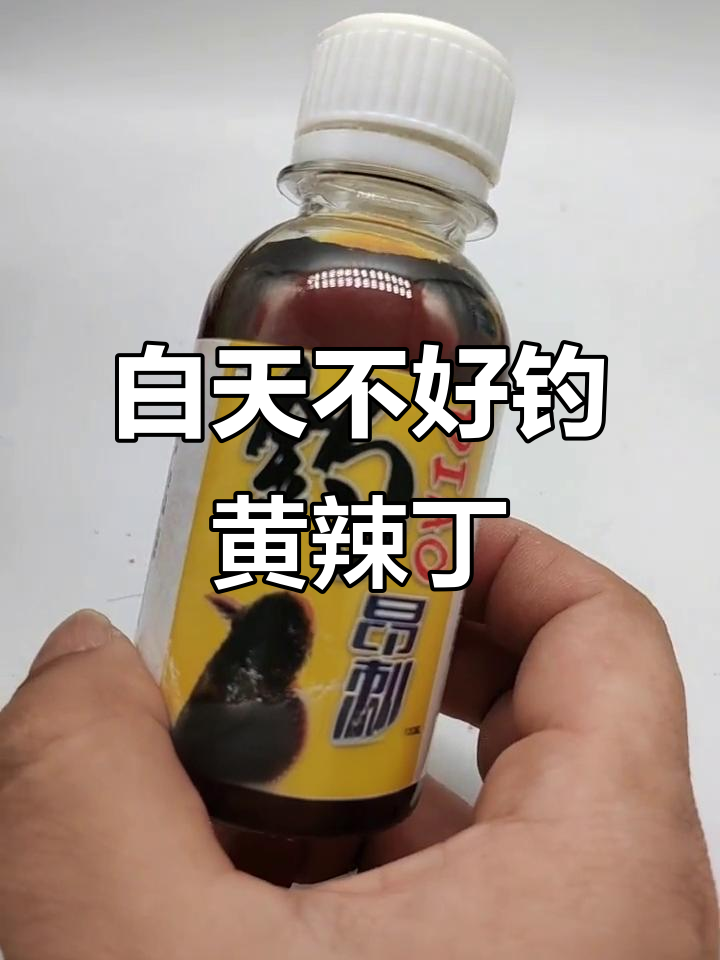 黄辣丁怕光,早晚阴雨天最适合钓