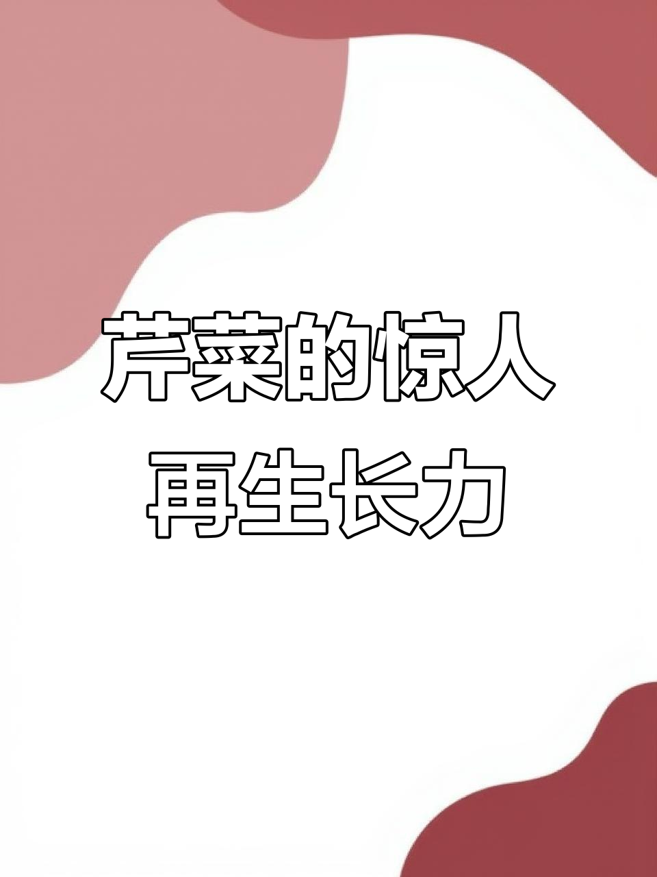 超市买的芹菜竟然能再生,真神奇!
