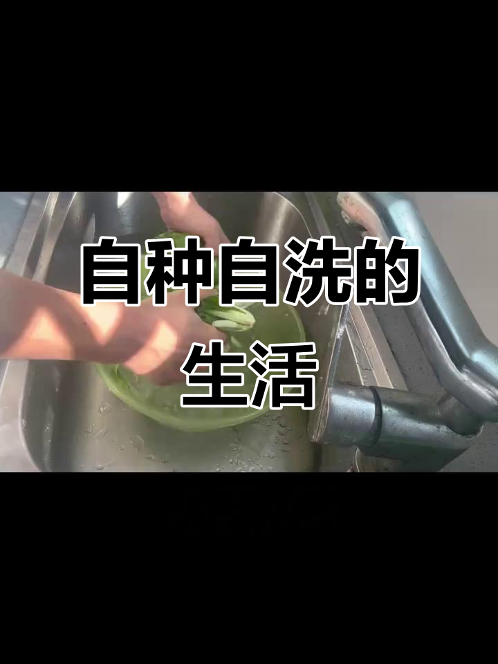乡村生活,自家种植蔬菜,洗菜成了必备技能