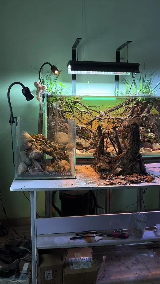 30方缸造景合集