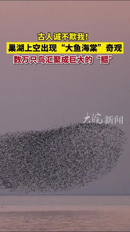 古人诚不欺我!巢湖上空出现“大鱼海棠”奇观 数万只鸟汇聚成巨大的“鲲”