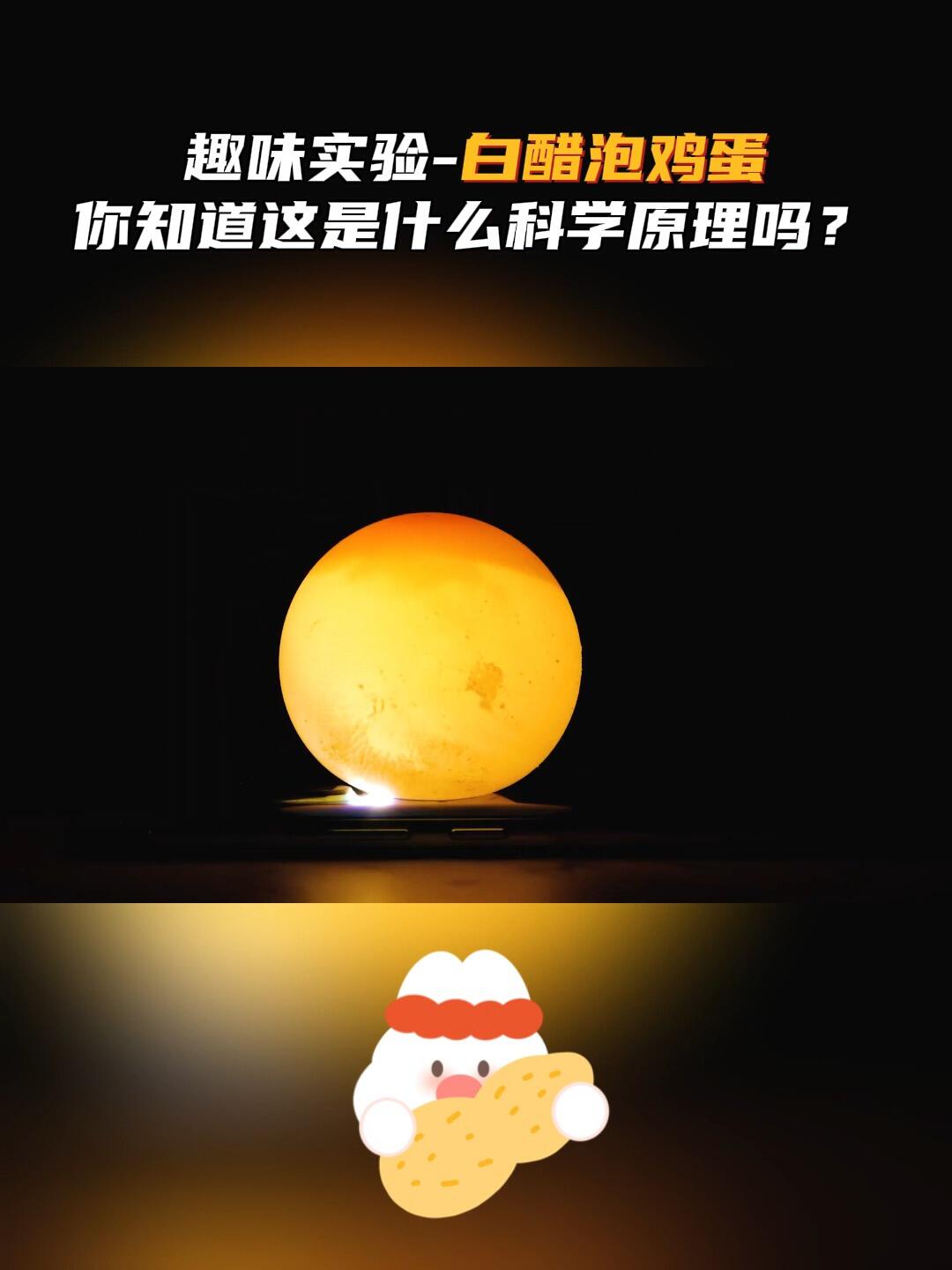趣味实验-白醋泡鸡蛋|你知道是为什么吗?