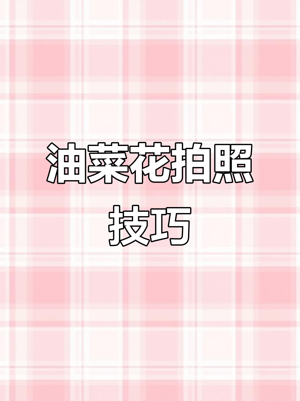 韩系油菜花拍照指南,超适合i人的拍摄姿势大公开!