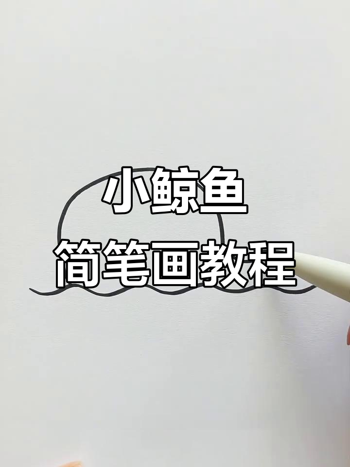 轻松学画可爱小鲸鱼，步骤简单又有趣！