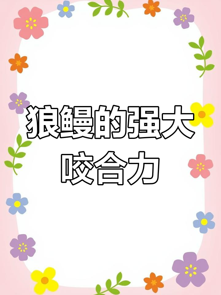 狼鳗:凶猛捕食者背后的温柔心
