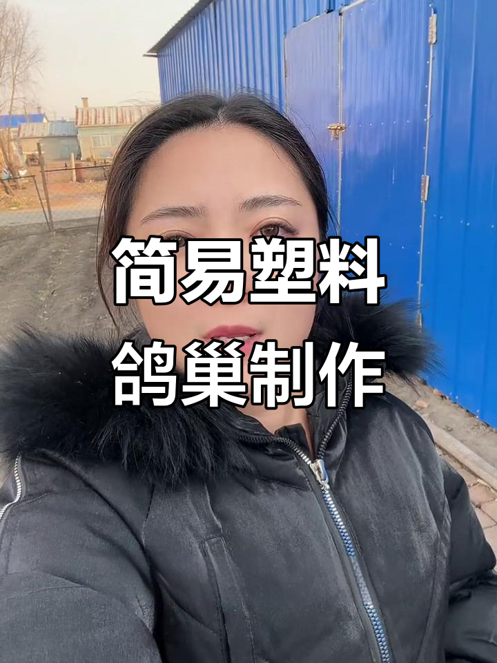 塑料桶变鸽子窝,简单又稳固