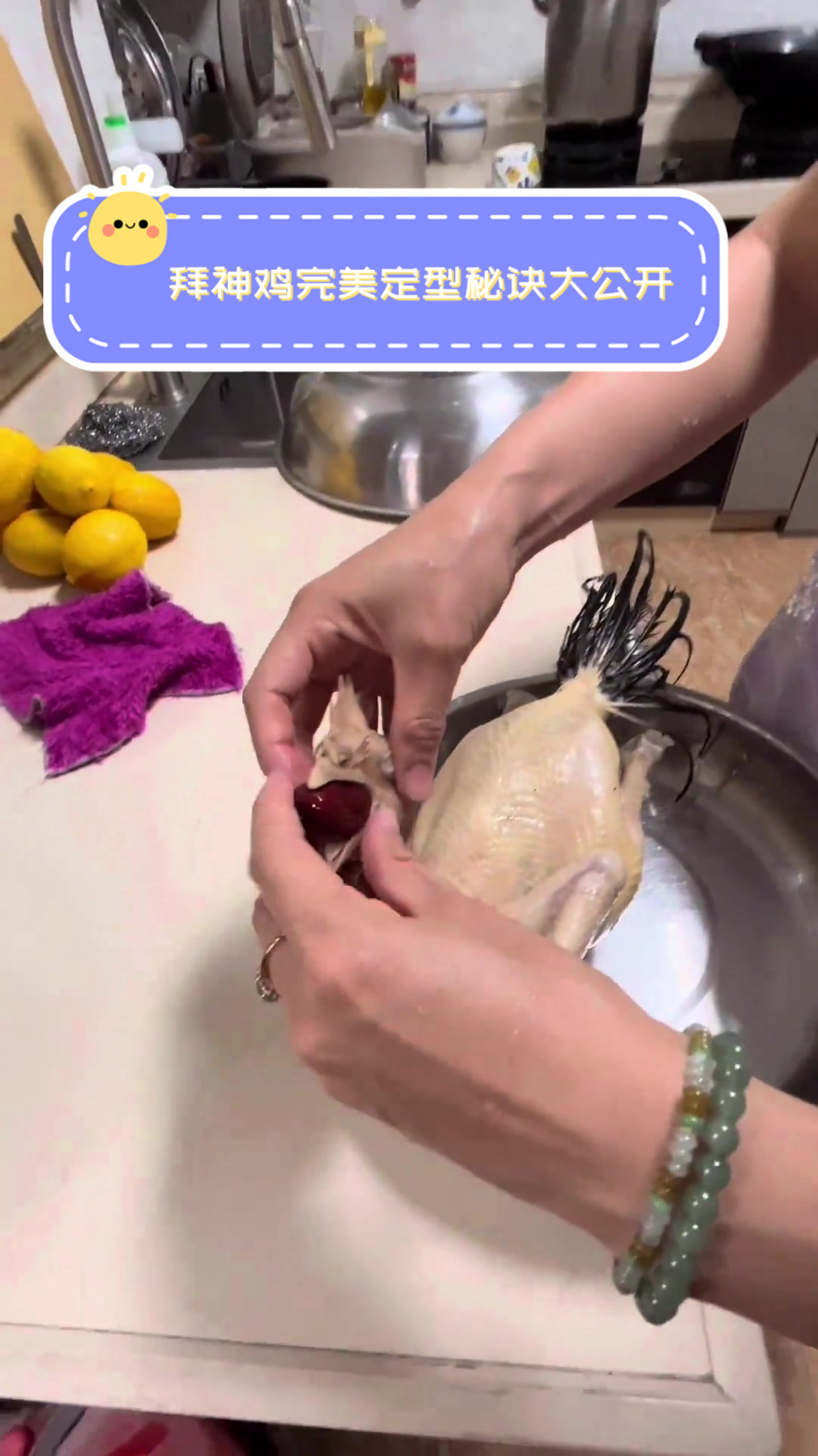 拜神鸡完美定型秘诀大公开