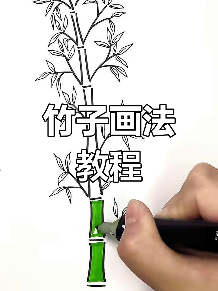 竹子简笔画教程,轻松画出美丽竹林