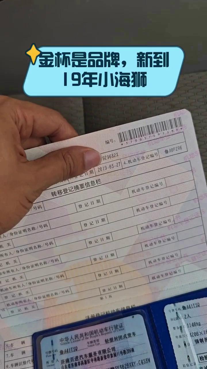 金杯是品牌，新到19年小海狮