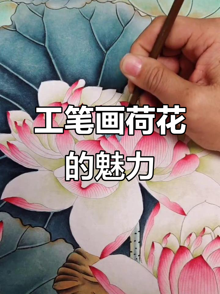 小六尺工笔荷花,细节之美尽显