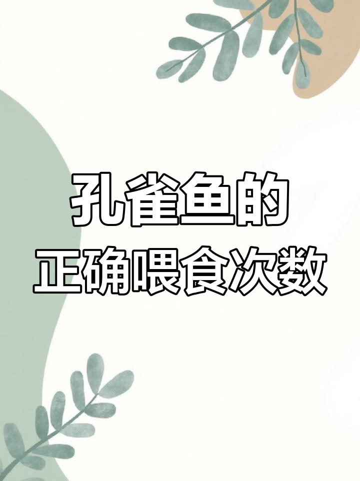 孔雀鱼喂食频率全解析:从老龄到成年,如何科学投喂