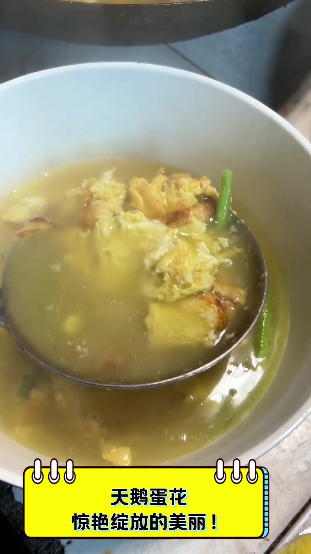 天鹅蛋花,惊艳绽放的美丽!