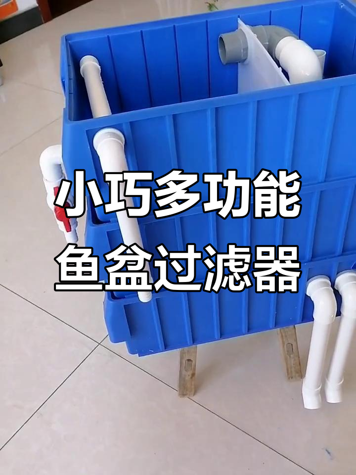 尺寸小巧功能全,鱼盆过滤箱轻松搞定