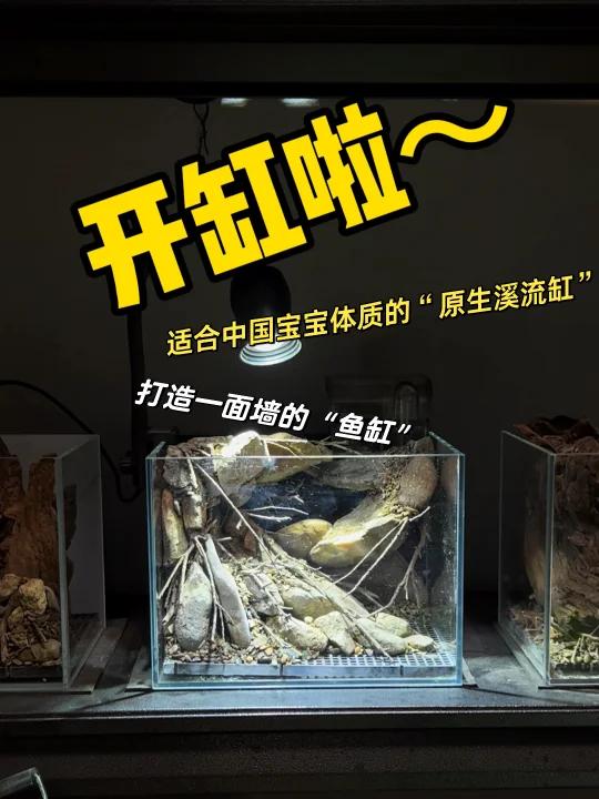 跟着我打造一面墙的“小鱼缸”