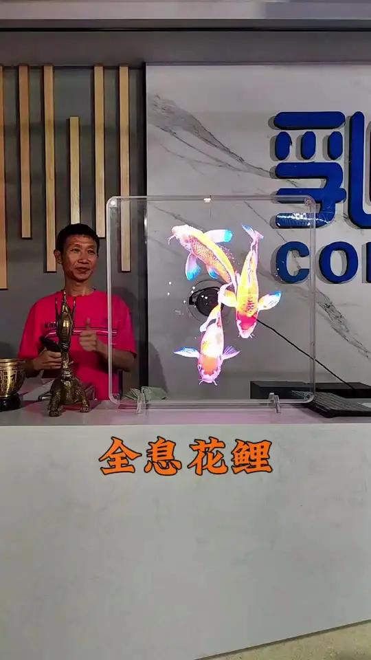 全息鲤鱼打破常规,颠覆想象。关注我看更多视频 前台摆件 桌面摆件 裸眼3D 全息风扇 科技