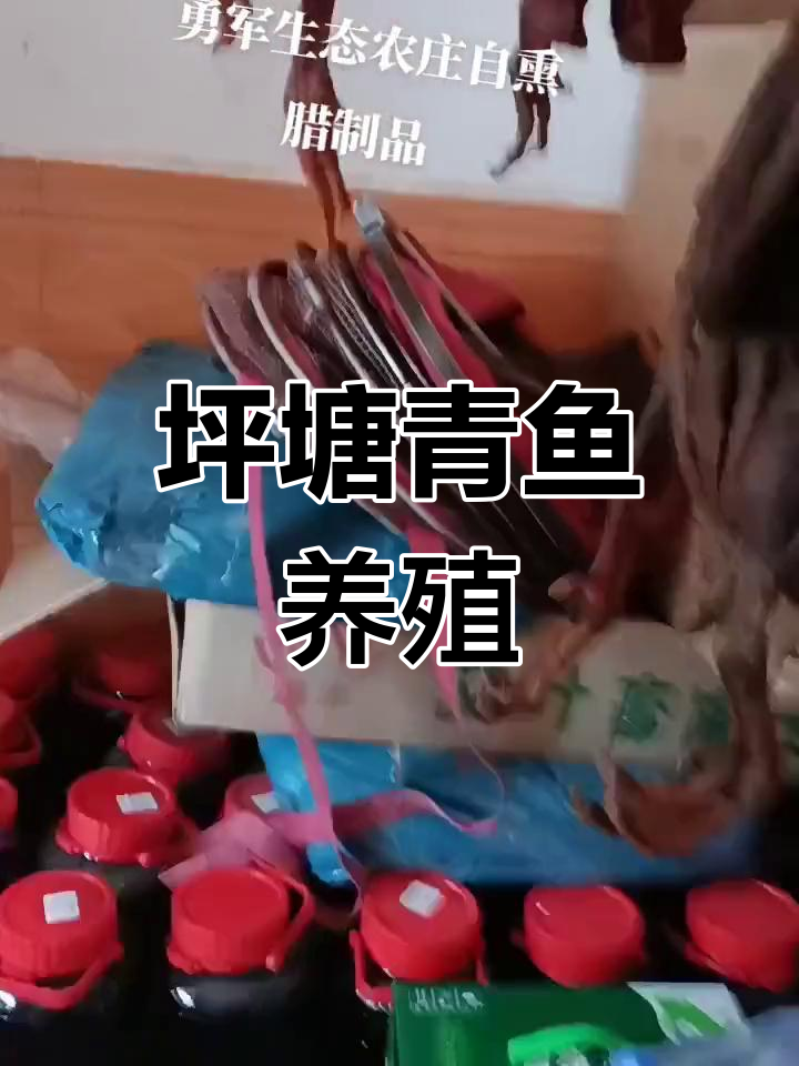 岳麓区坪塘街道太平村生态农庄,青鱼大丰收