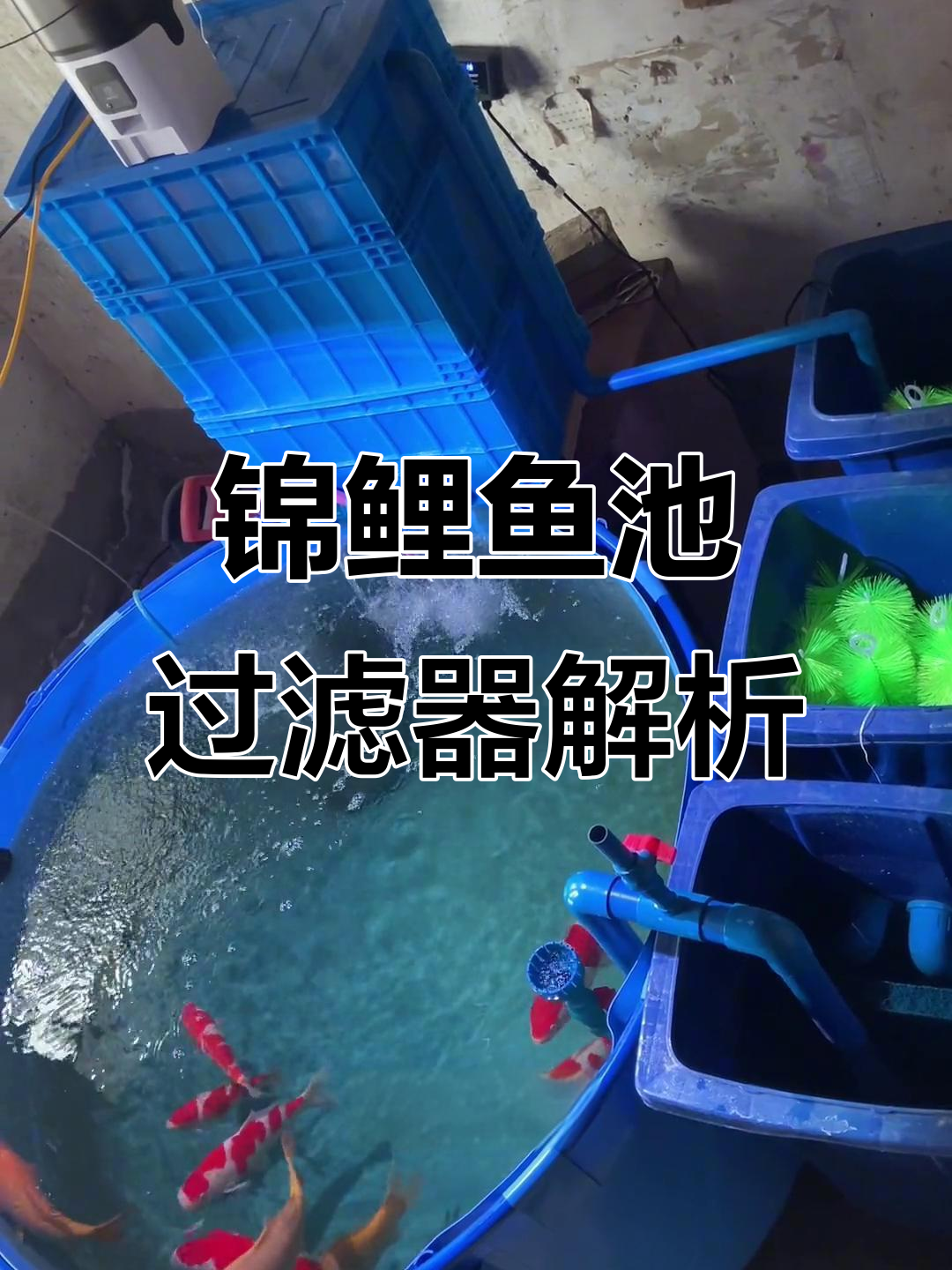 锦鲤鱼池过滤原理揭秘:虹吸与发散管详解