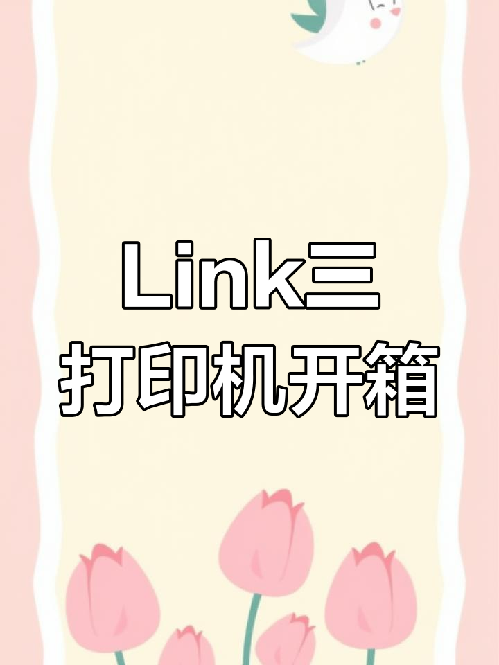 Link 3打印机全解析:猪尾草绿主机与充电线等配件一应俱全
