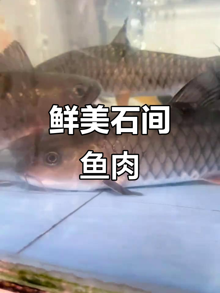 石坚鱼生:天然美味,晶莹剔透的舌尖艺术