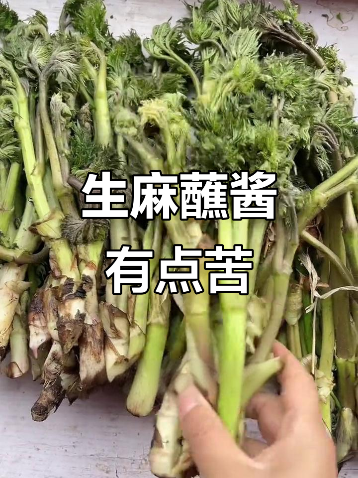 苦龙牙,生麻焯水蘸酱吃,微苦又清新