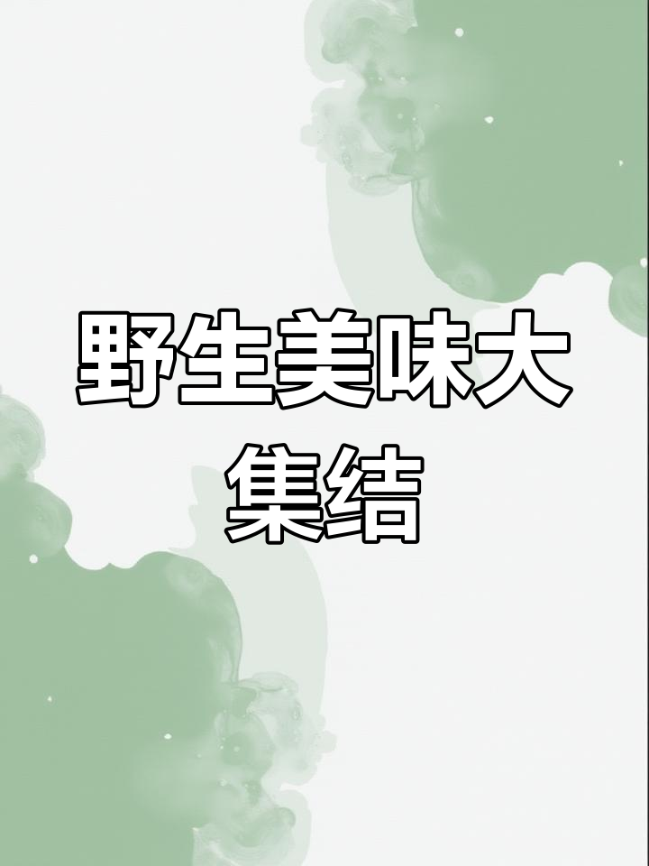 鬼子姜、蕨菜等野味,独特风味令人陶醉