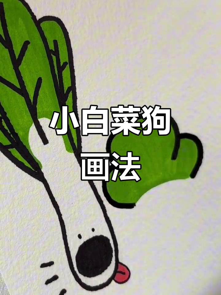 画画小白菜狗，沉浸式体验超有趣