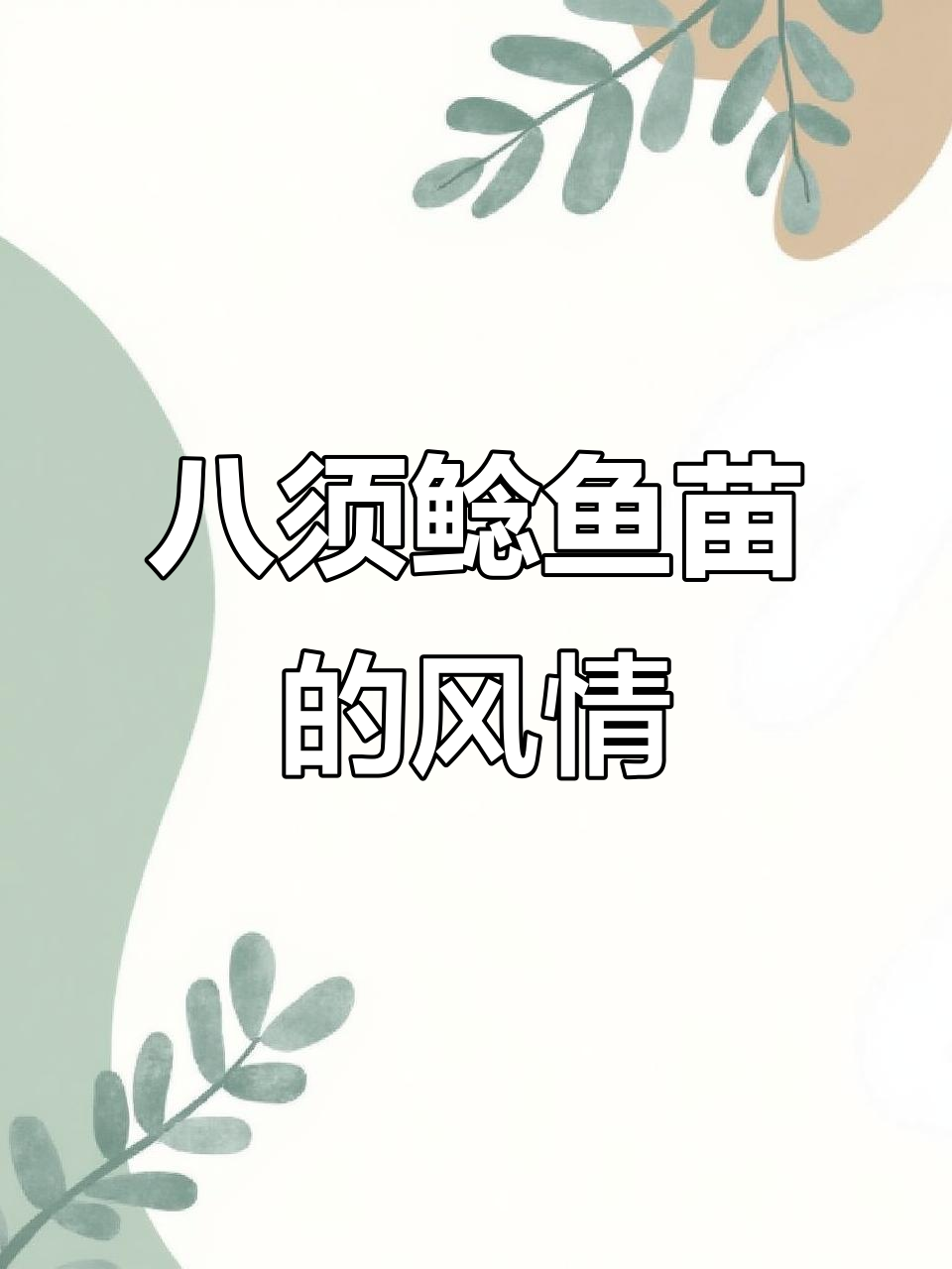 八须鲶鱼苗的奇妙之旅，风中散锁的心境转变