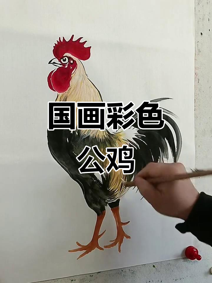 彩色公鸡国画教程,简单又好玩!