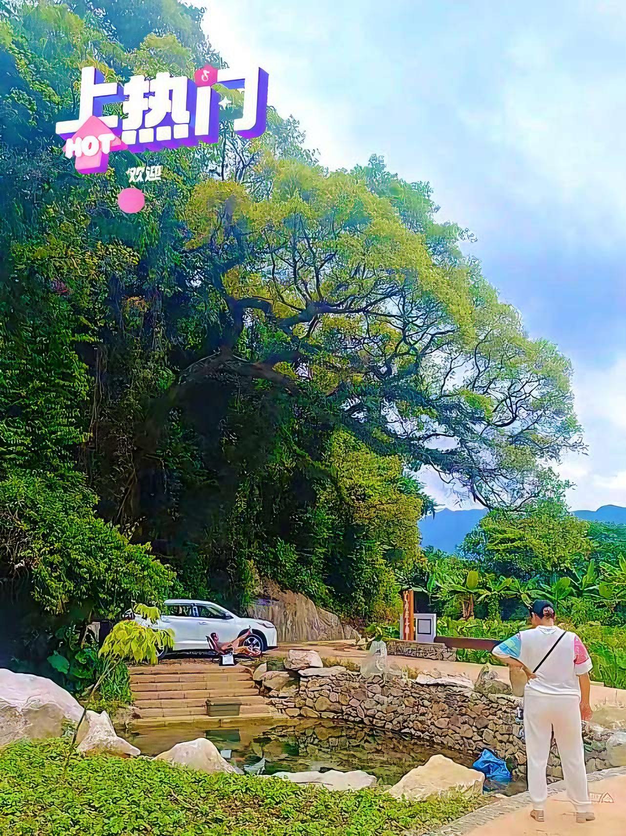 最美乡村风景 重点农村乐昌北乡,百千万工程,农村越来越美,日子蒸蒸日上!好山好水好心情 空