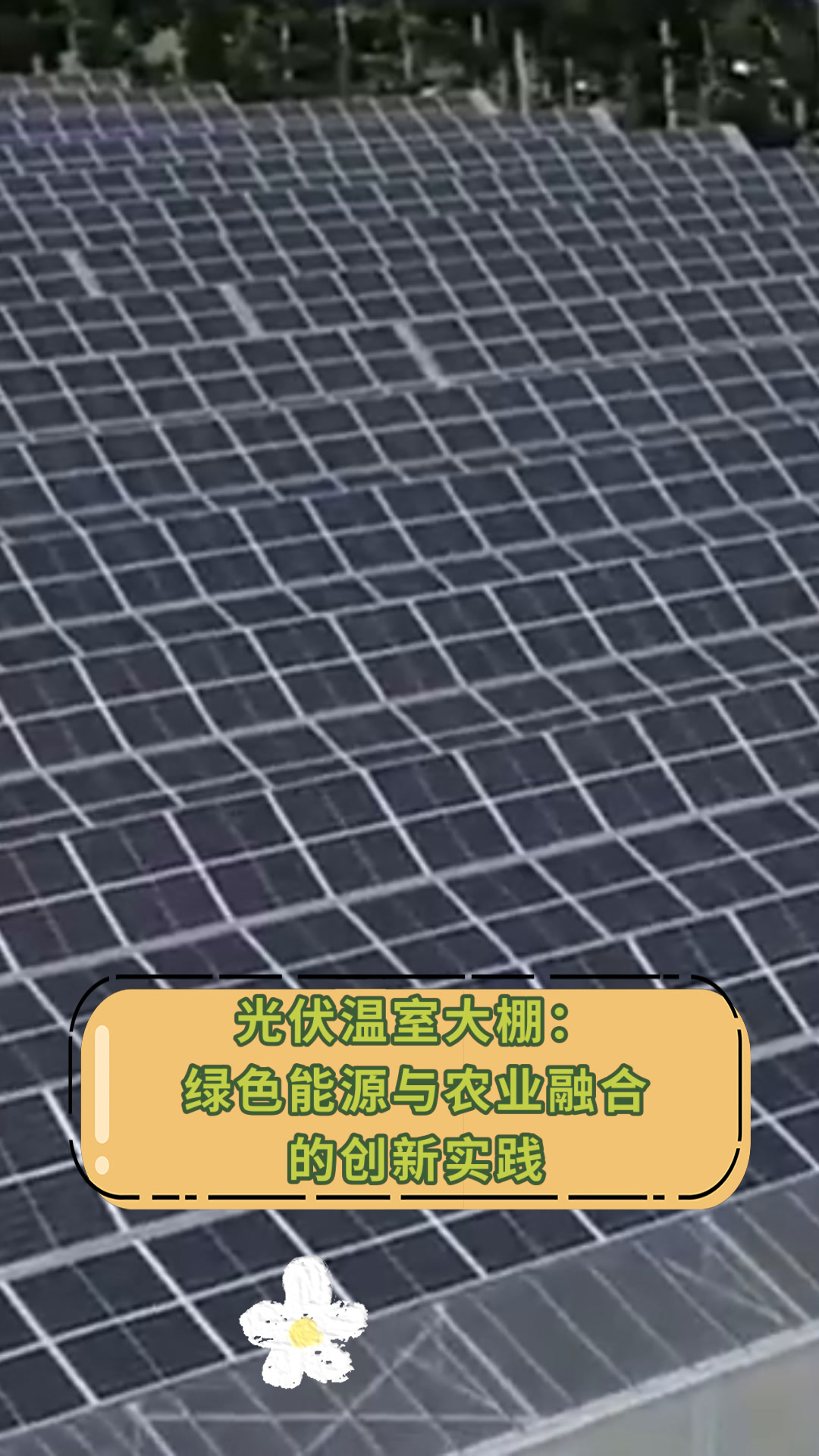 光伏温室大棚:绿色能源与农业融合的创新实践