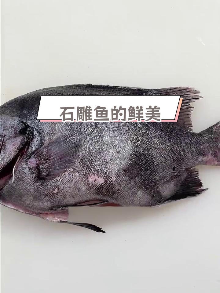石雕鱼:刺身美味与独特风味