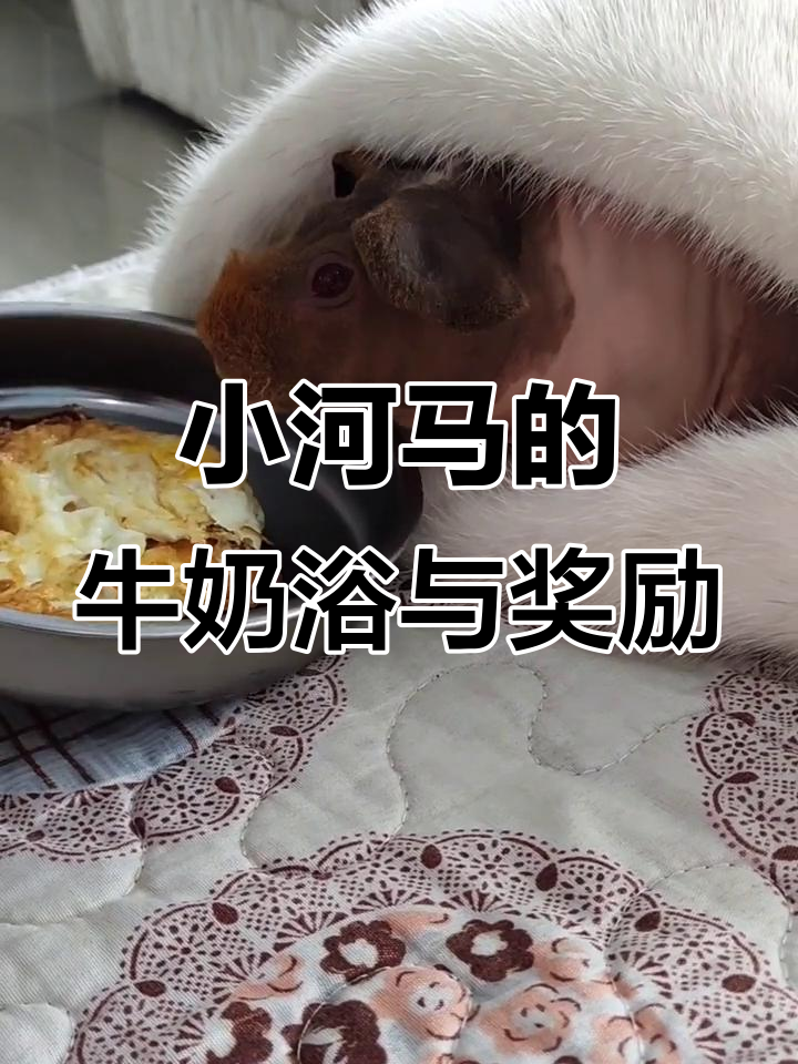 小河马泡澡后吃鸡蛋，心情如何？评论区猜猜看