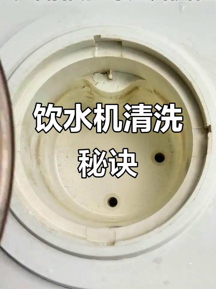 在家轻松清洁饮水机,柠檬白醋帮你搞定!