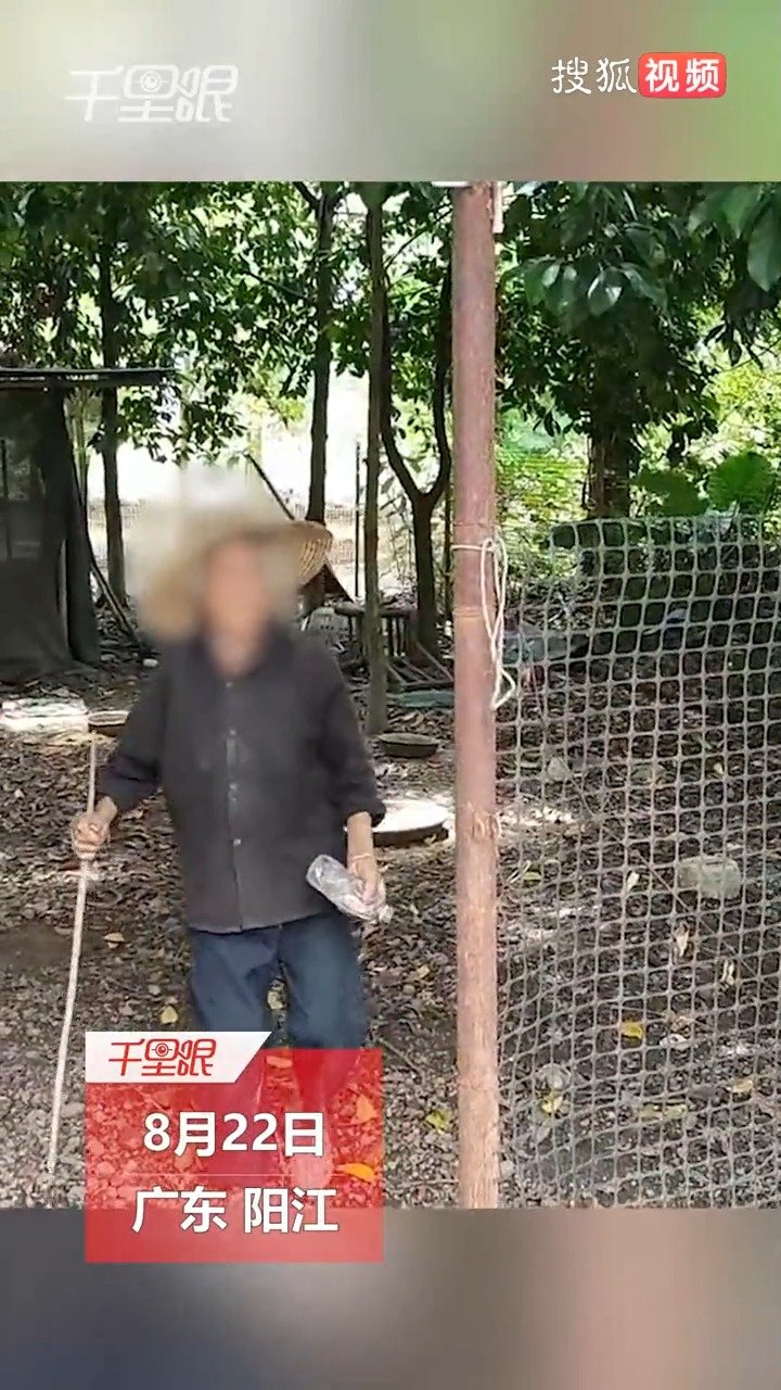「倚老卖老?男子送9旬老人鸡鸭蛋反被偷800个」8月22日,广东阳江。黄先生养了十几只鸡鸭