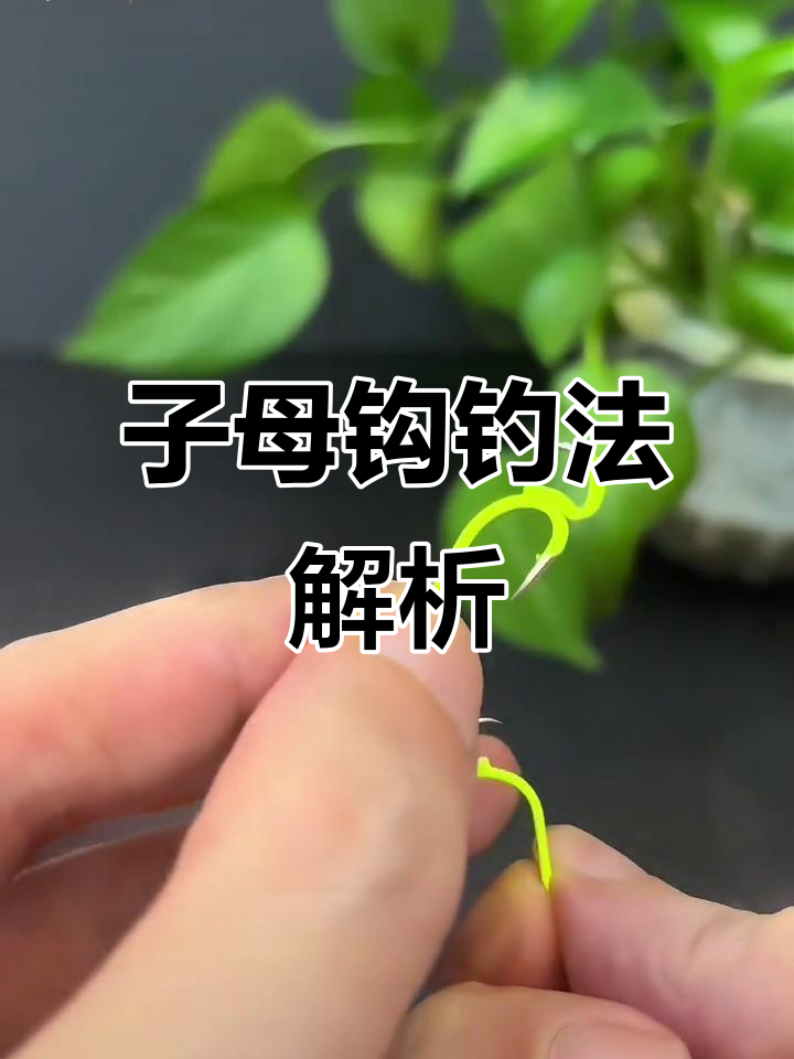 鱼钩一挂，鲤草翘嘴全来！子母双钩钓鱼技巧大揭秘