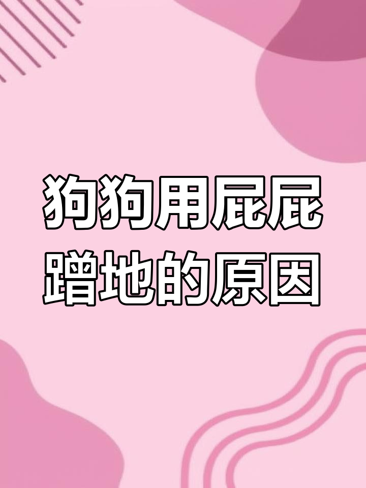 狗狗蹭地磨屁股,可能是求救信号