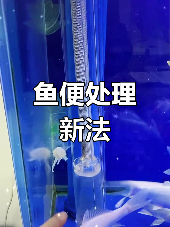 三合一设计,鱼便粉碎更彻底,搭配收集器效果显著