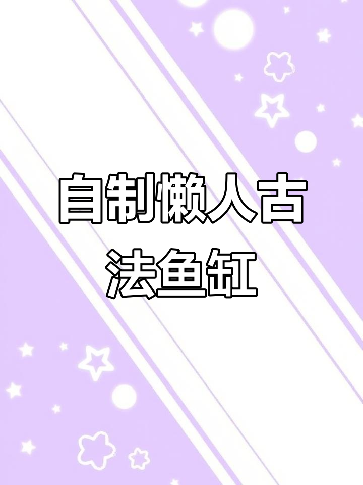 废物利用做古法生态缸,火山石净化水质超简单