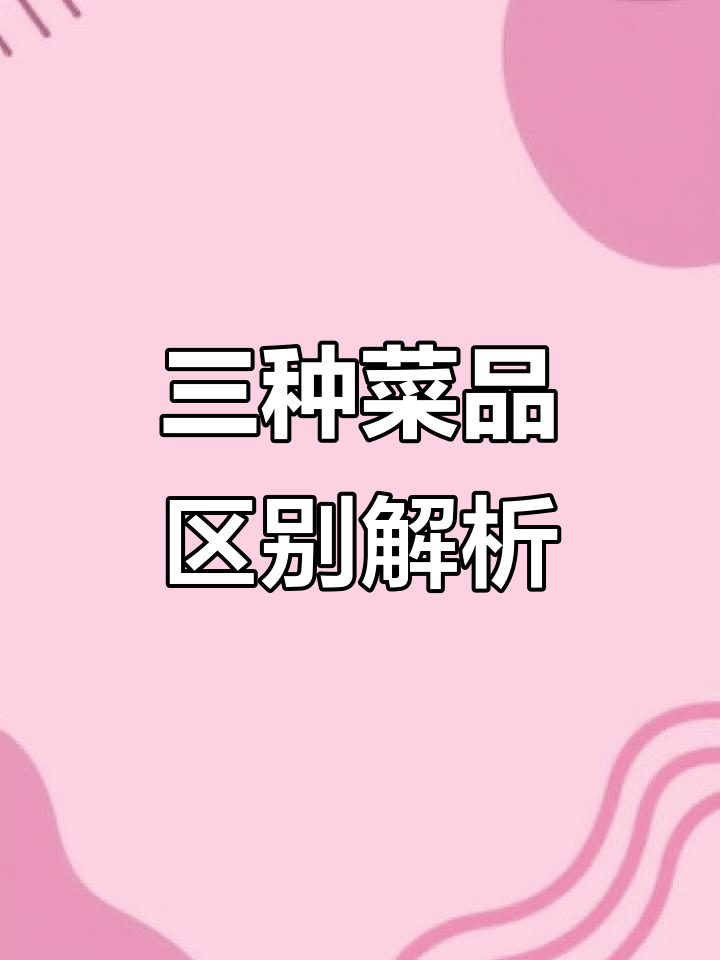 预制菜、半成品菜与净菜的差别,选哪种更省心?