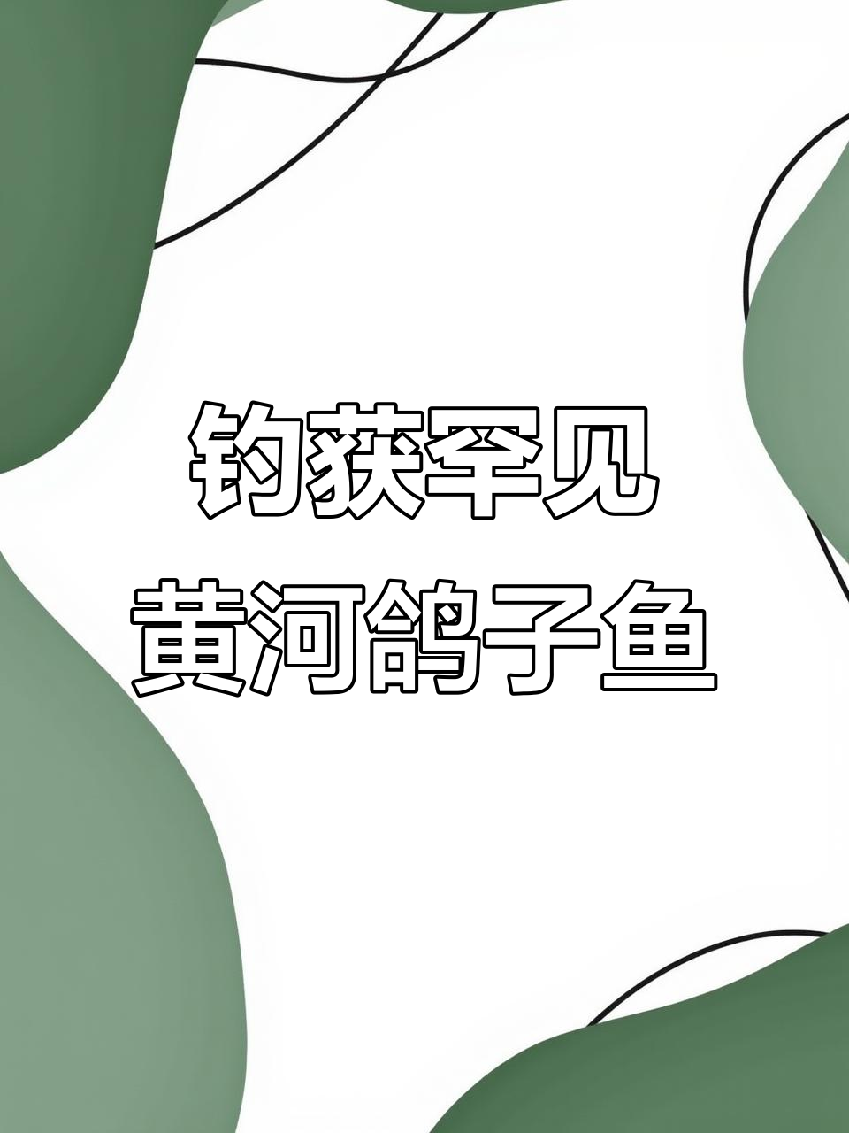 郑州钓友意外捕获濒临灭绝的黄河鸽子鱼,竟是古代贡品!