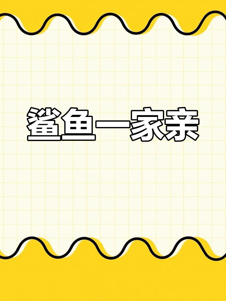 鲨鱼家族大冒险,宝宝和爸爸妈妈一起唱歌跳舞