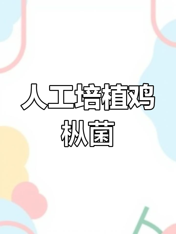 人工培育野生鸡枞菌,教你如何种植美味蘑菇