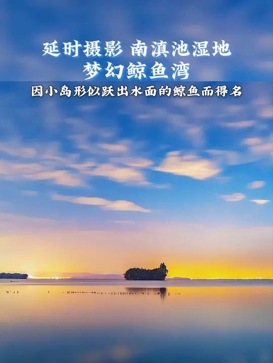 南滇池湿地,梦幻鲸鱼湾。鲸鱼湾位于昆明市晋宁区南滇池湿地,因水域中一座小岛形似跃出水面的鲸