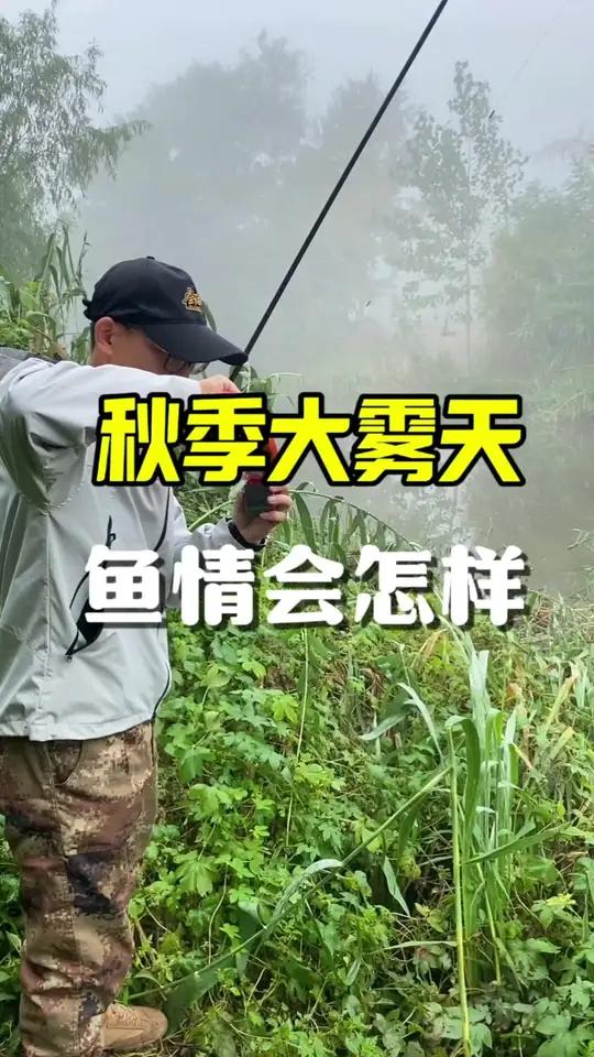 秋季雾天好不好钓鱼,分享三个实战爆护技巧,鱼获翻倍!钓鱼 老坛维它米 轻甲MAX