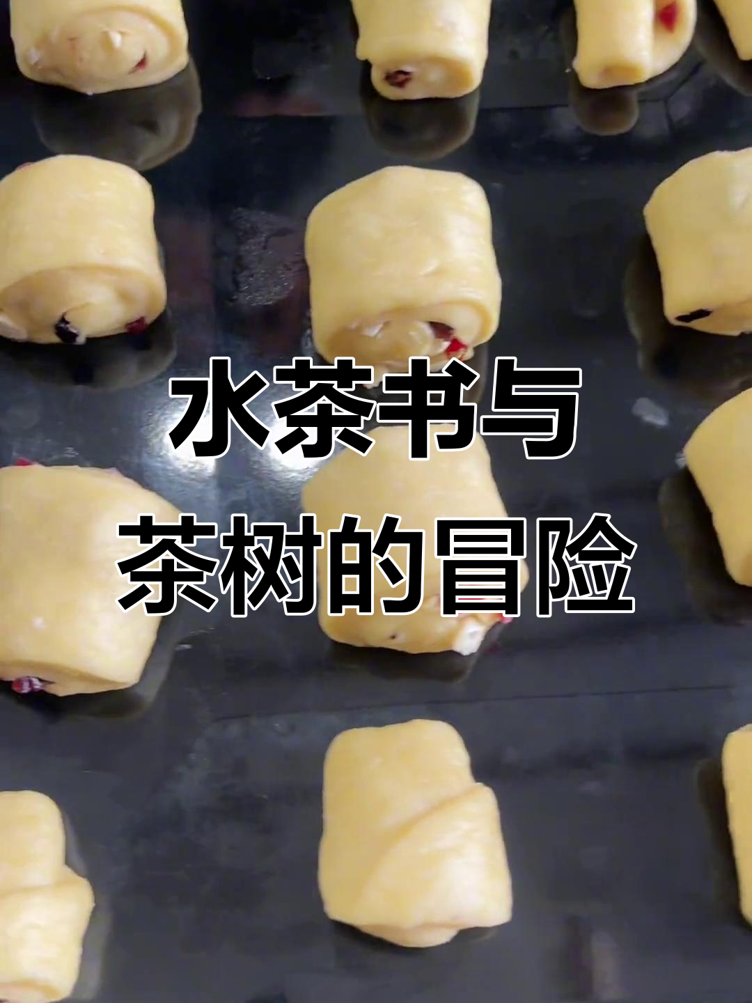 茶树与水茶书的奇妙之旅,脚印大面包等你来挑战