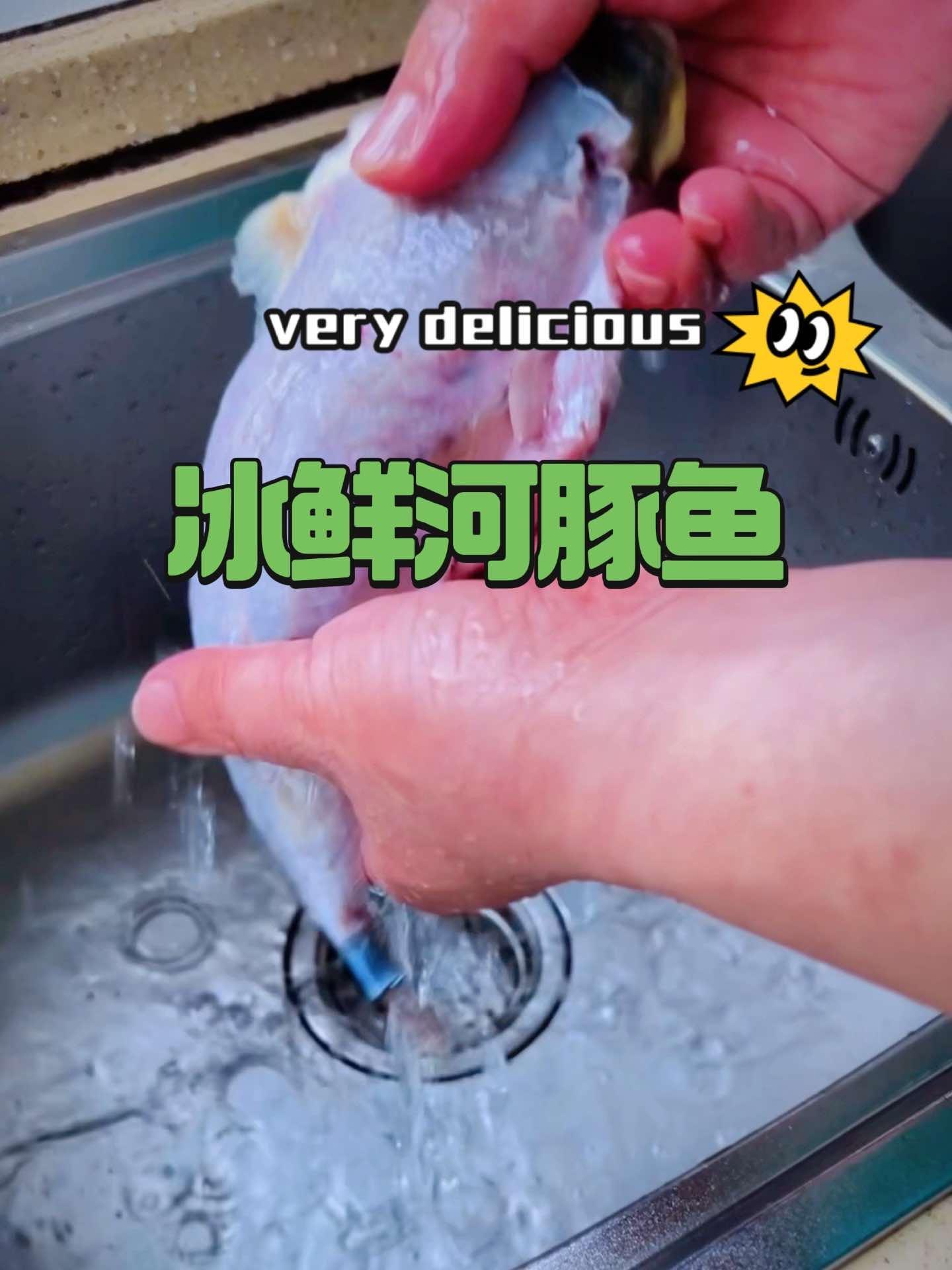 冰鲜河豚鱼 皮厨大叔美食