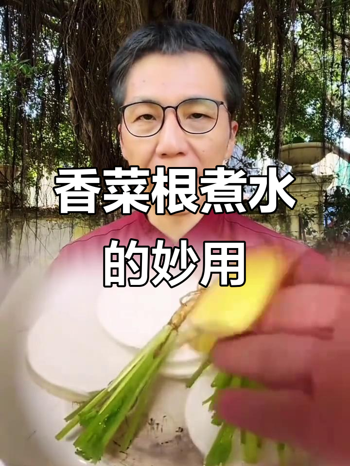 香菜根煮水,竟有这么多神奇功效!潮汕人必试