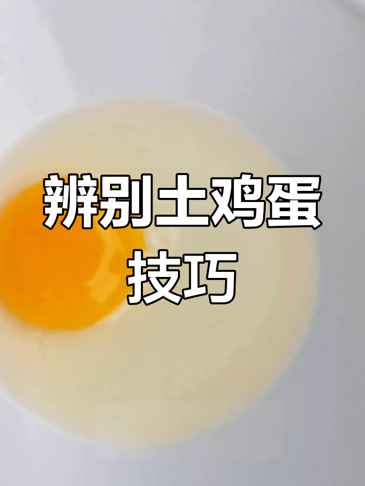 如何挑选新鲜土鸡蛋?四个实用方法